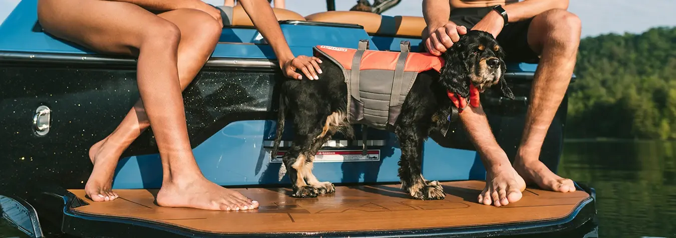 https://blog.axiswake.com/how-to-boat-with-mans-best-friend-dogs